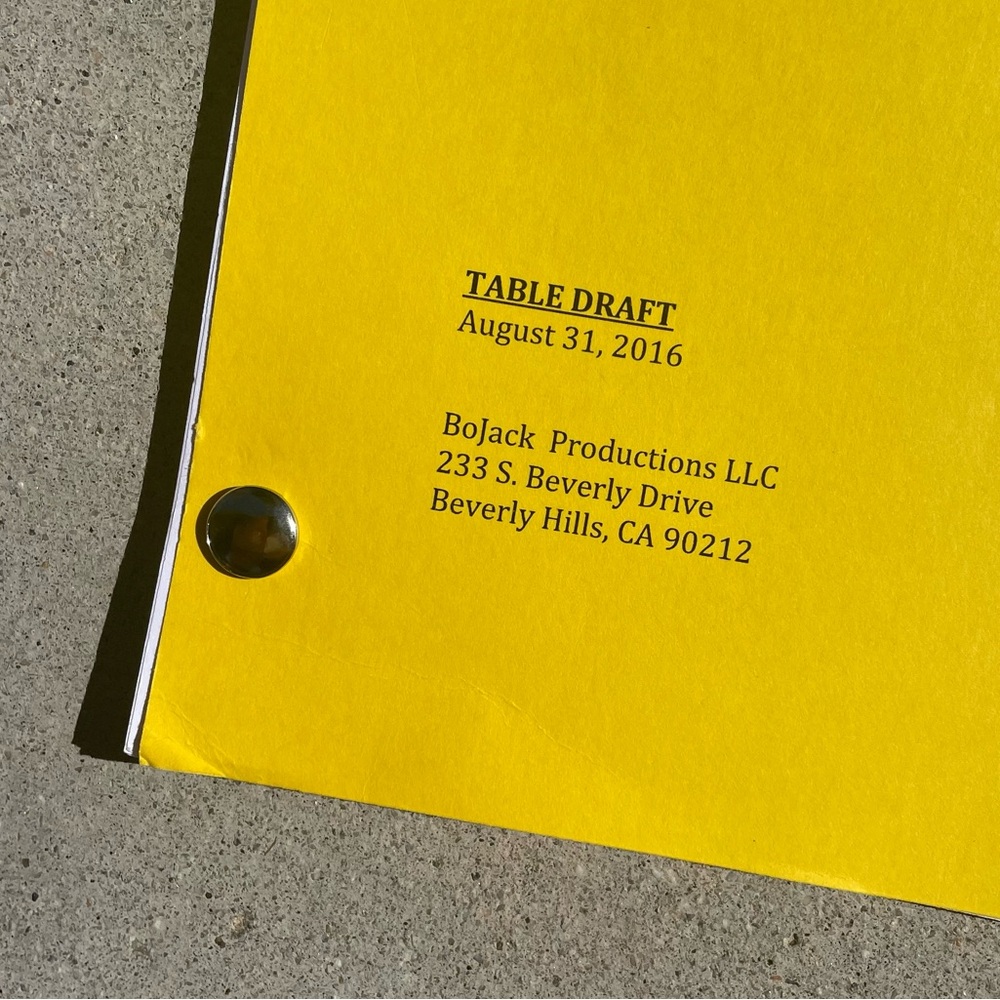 Bojack Horseman 2016 The Old Sugarman Place Episode Table Draft Script ICONIC!! - Picture 5 of 12